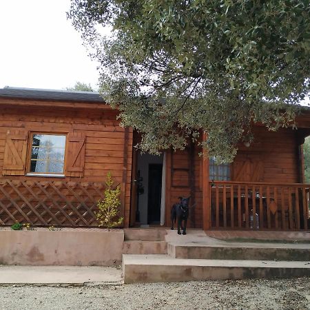 Villa La Casa Del Estanque Olocau del Rey Exterior foto